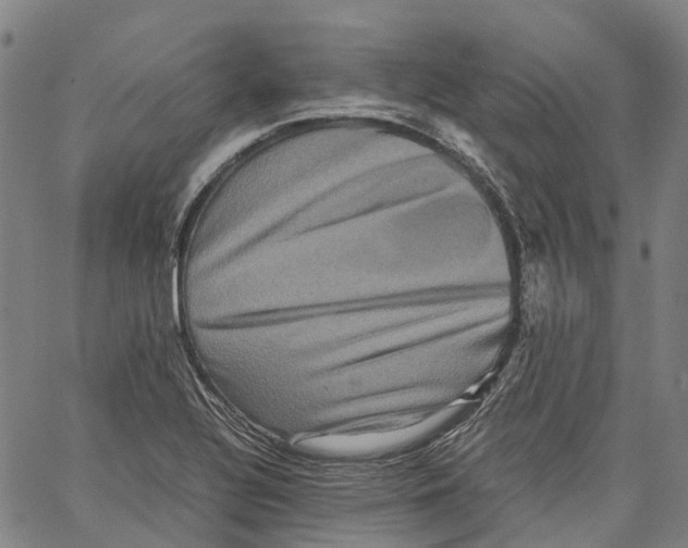 X0000062831320200602101502