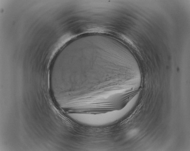 X0000062831323200602101502