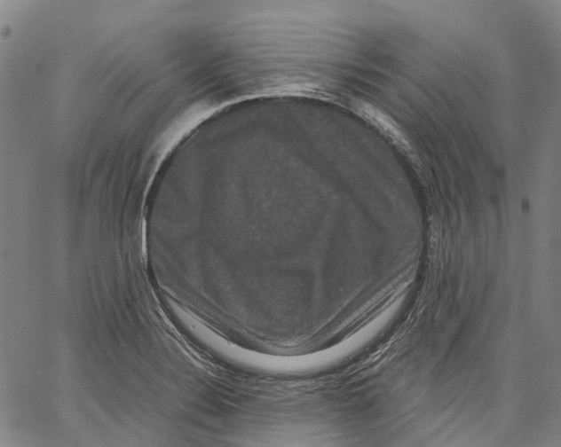 X0000062831324200602101502