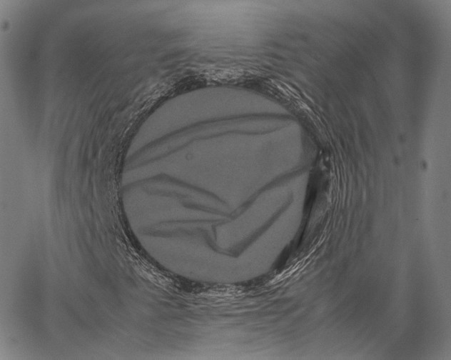X0000062831345200602101501