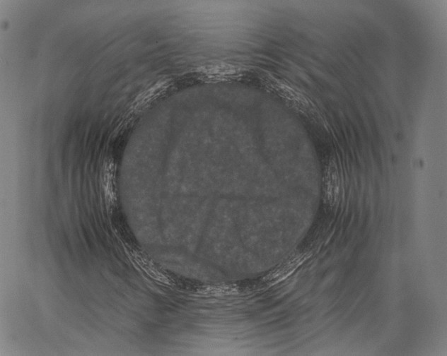 X0000062831346200602101501