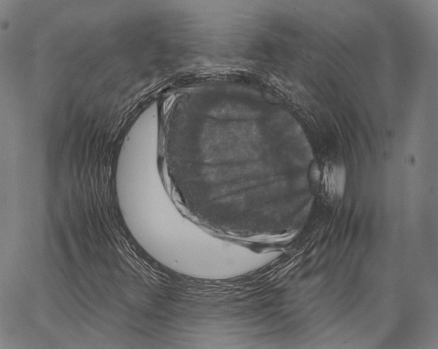X0000062831348200602101501