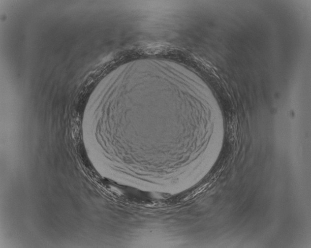 X0000062831349200602101501