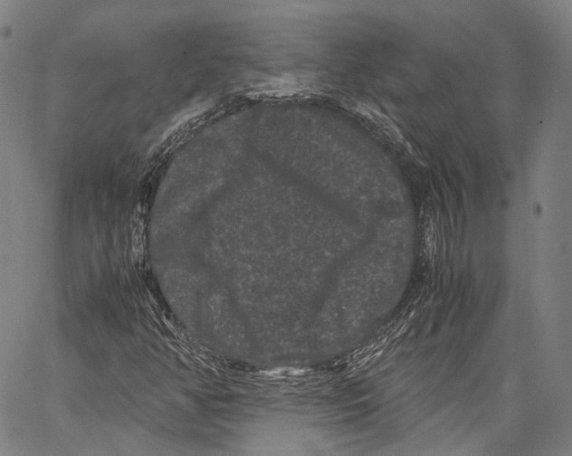 X0000062831350200602101501