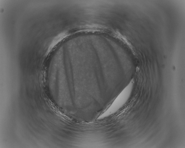 X0000062831352200602101501