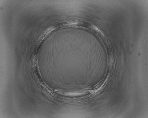 X0000062831353200602101501