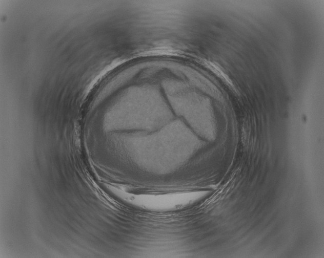 X0000062831356200602101501