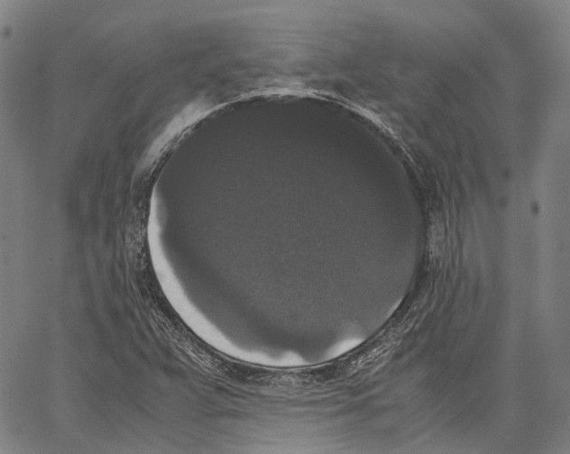 X0000062831359200602101501