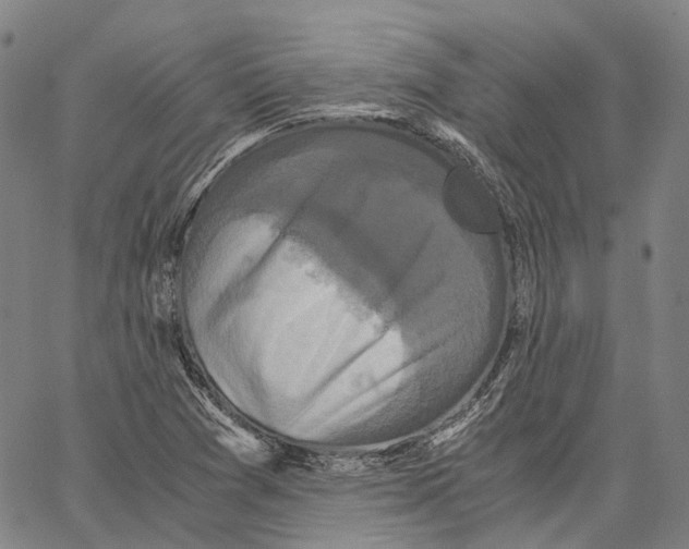 X0000062831361200602101501