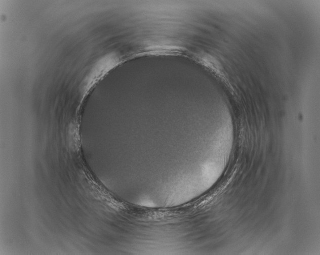 X0000062831362200602101501