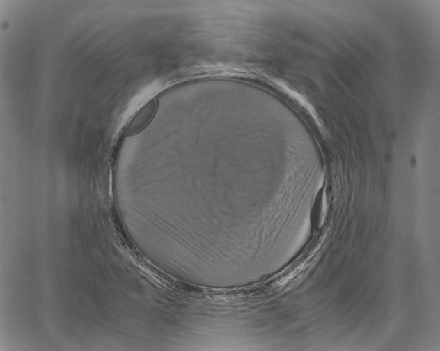 X0000062831365200602101501