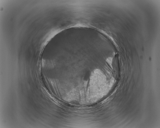 X0000062831367200602101501