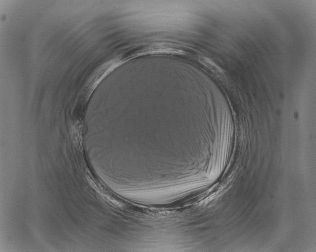 X0000062831369200602101501