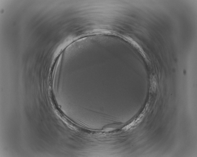 X0000062831373200602101501