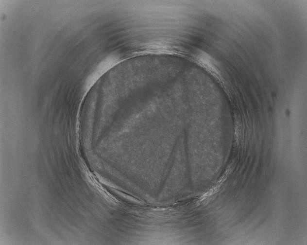 X0000062831378200602101501