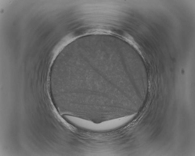 X0000062831379200602101501
