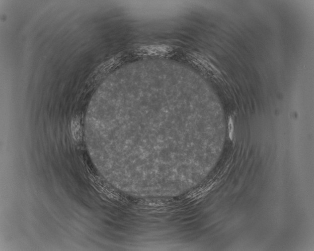 X0000062831395200602101500