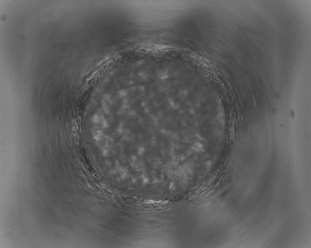 X0000062831397200602101500