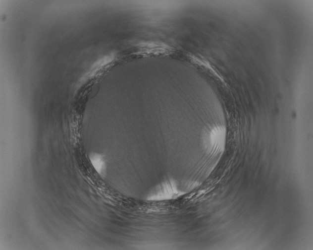 X0000062831399200602101500