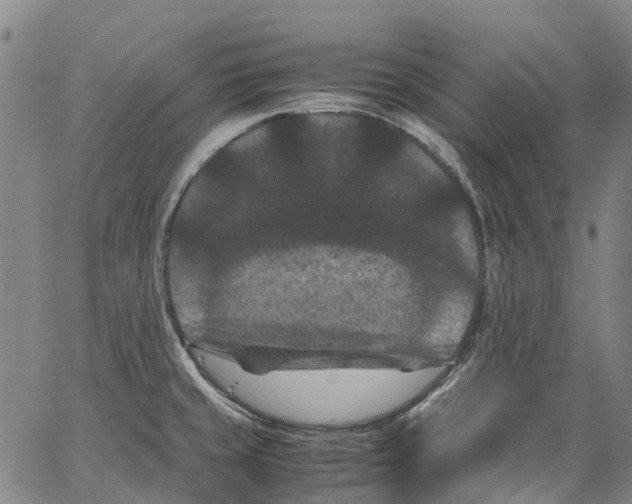 X0000062831429200602101500