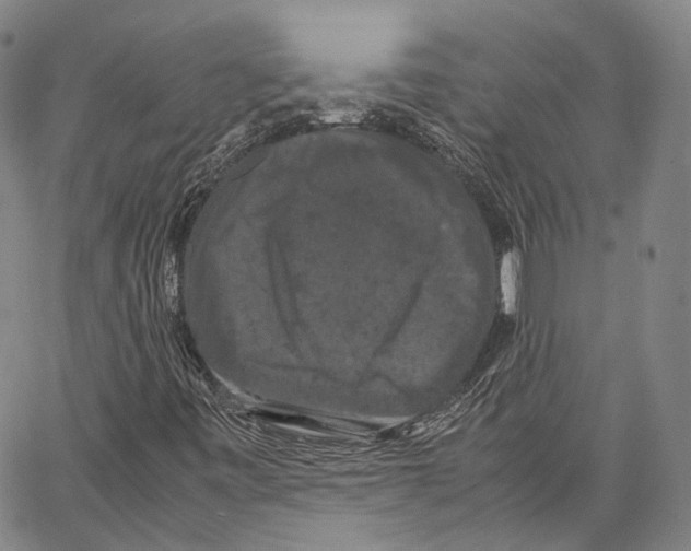 X0000062831443200602101500