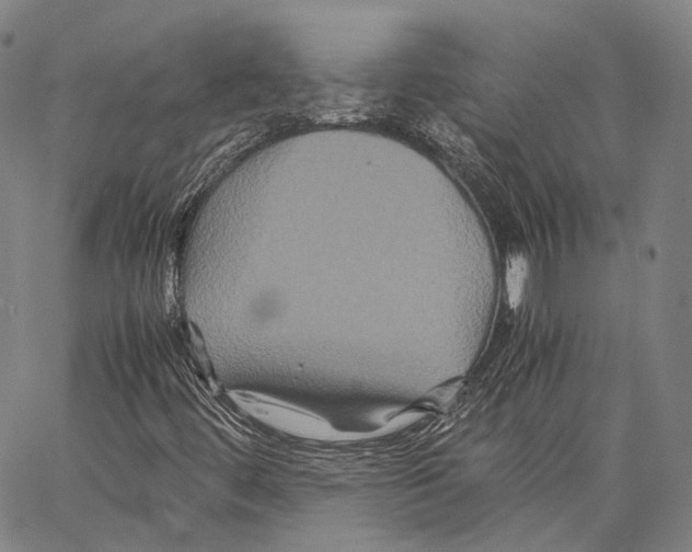 X0000062831444200602101500
