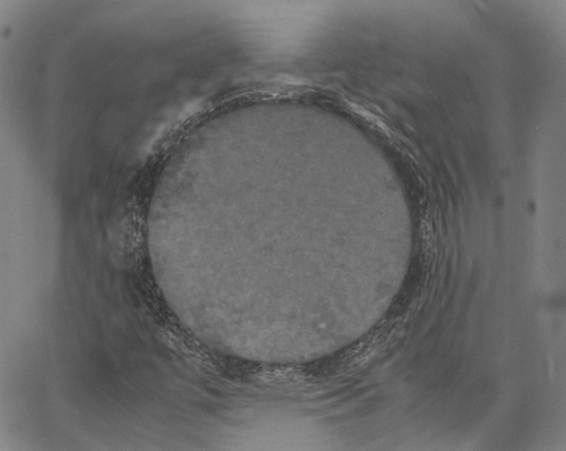 X0000062831447200602101500