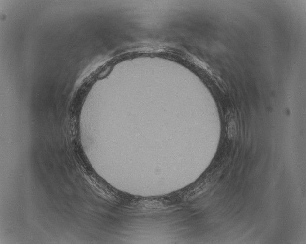 X0000062831448200602101500