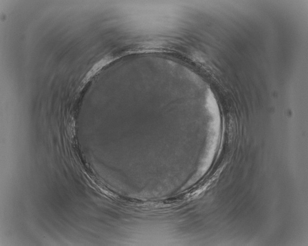 X0000062831449200602101500