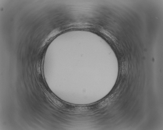 X0000062831451200602101500