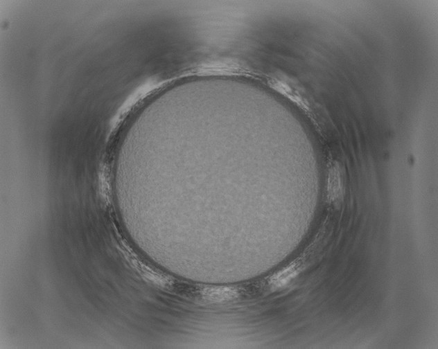 X0000062831454200602101500