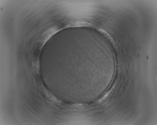 X0000062831457200602101500