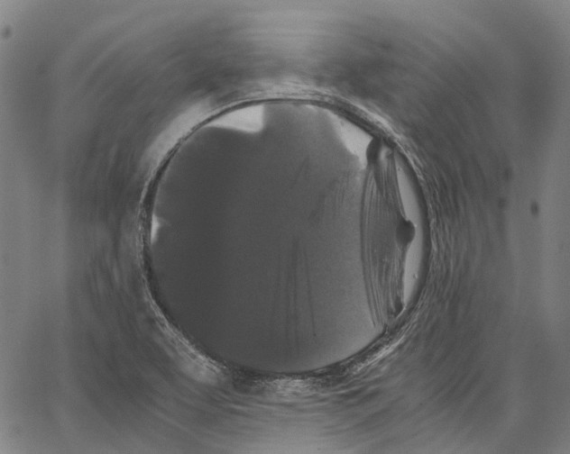 X0000062831463200602101459