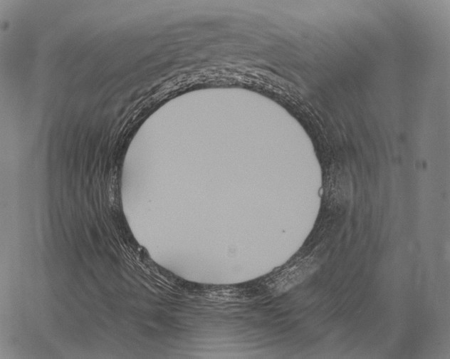 X0000062831490200602101458