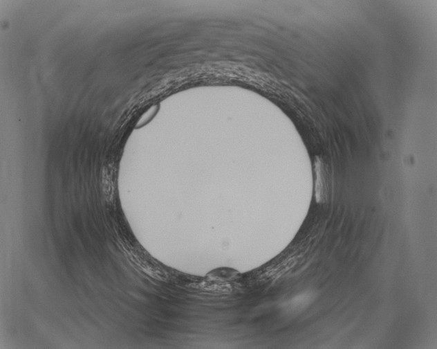 X0000062831491200602101458