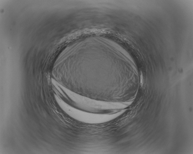 X0000062831492200602101458