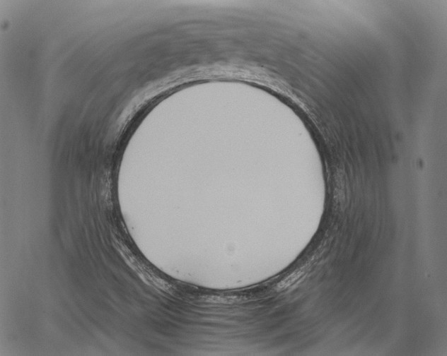 X0000062831499200602101458