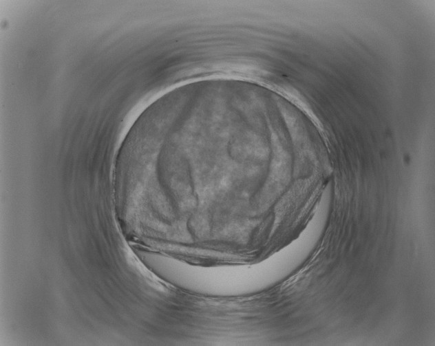 X0000062831532200602101459