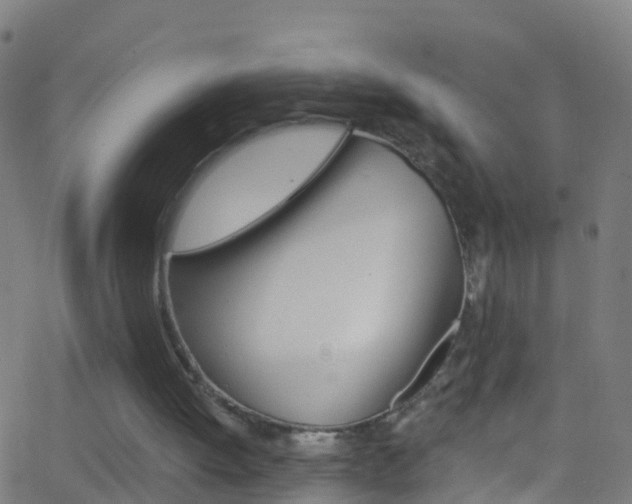X0000062840052200601130951