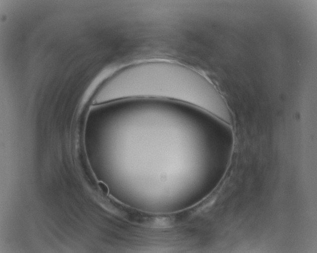 X0000062840056200601130951