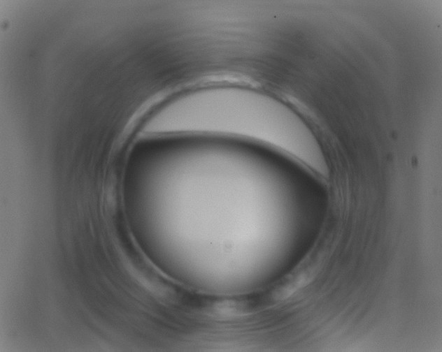 X0000062840064200601130951