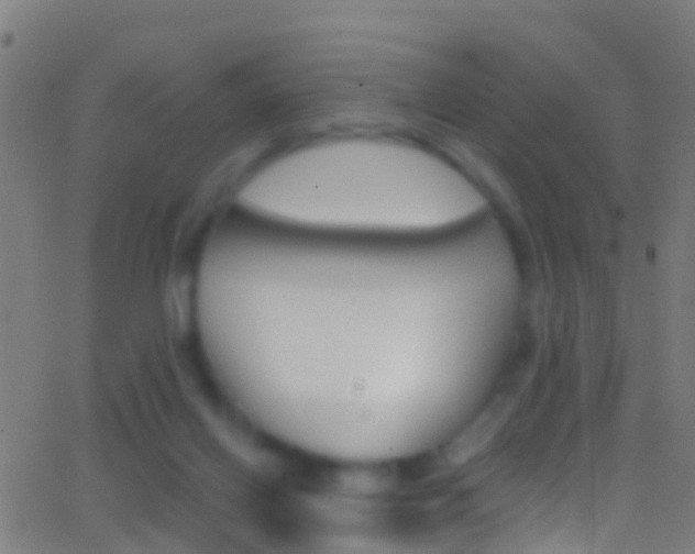 X0000062840070200601130951