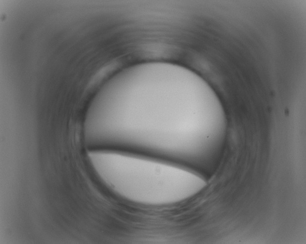 X0000062840115200601130950