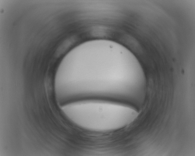 X0000062840116200601130950