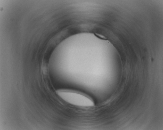 X0000062840137200601130950