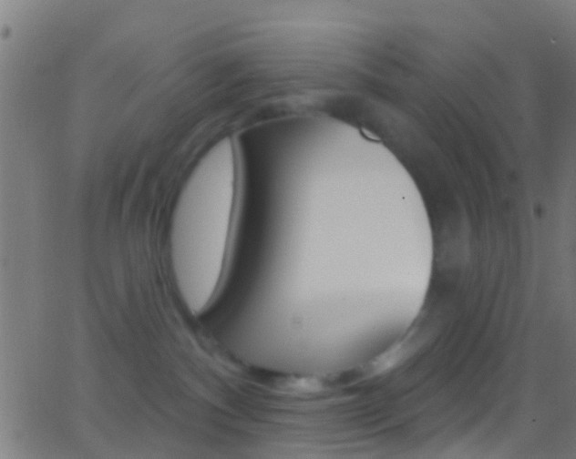 X0000062840140200601130950