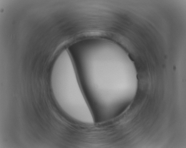 X0000062840207200601130949
