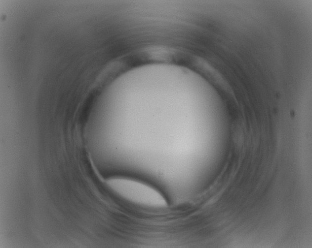 X0000062840213200601130949