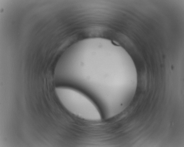 X0000062840228200601130948