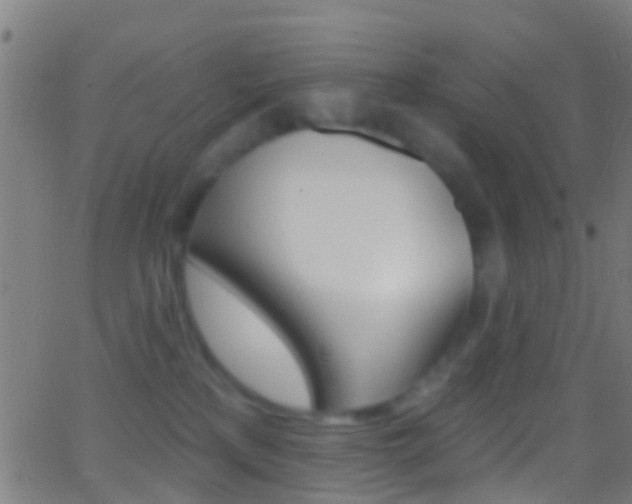 X0000062840233200601130948